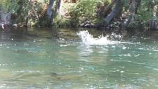 gal/Fishing 1/_thb_Larg0002.jpg